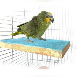 Bird Perch Grinding Stand (5.1"x3.5") Brand New.